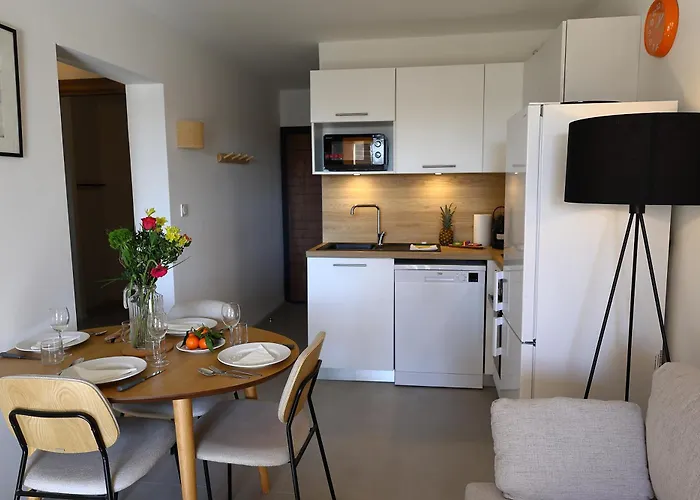 Appt T2 Vue Avec Piscine