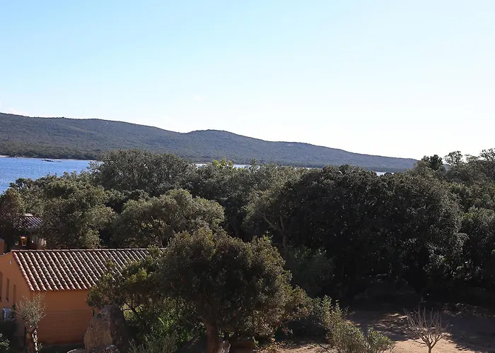 Appartement Appt T2 Vue Avec Piscine