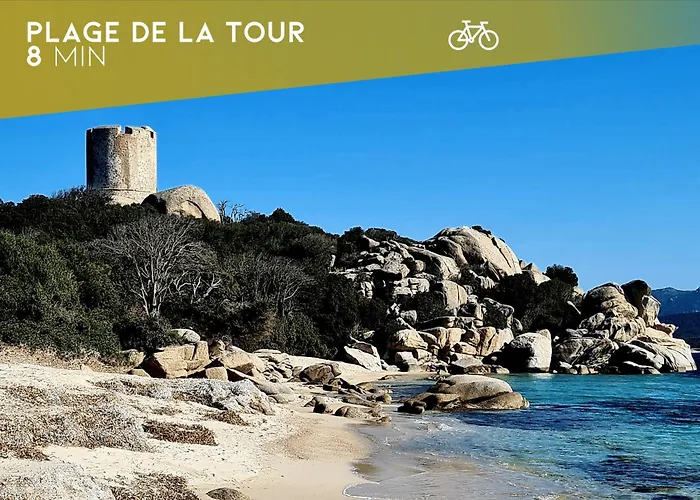 Appt T2 Vue Avec Piscine